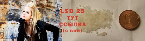 хмурый Алзамай