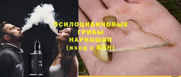 mix Алексин